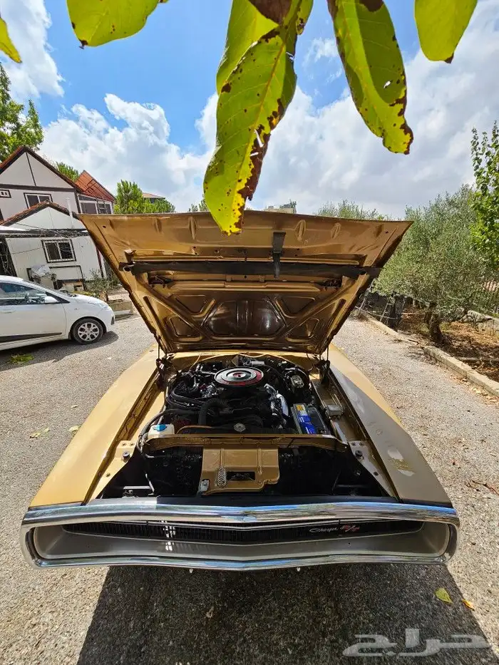 1970 Dodge Charger 8
