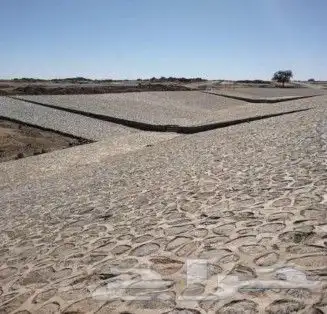 بوكلين للإيجار بساعه واليوميه ومباني حجر بالبكلين وبليد وربر 5