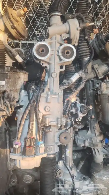 دودة دركسيون جيمس شفورلية اسكاليد كهربائية 4