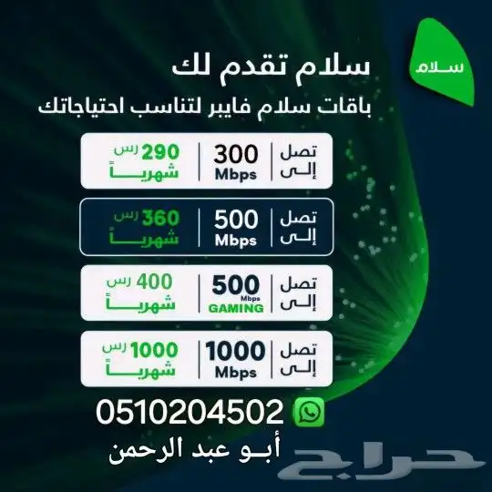 مندوب ألياف بصرية 3