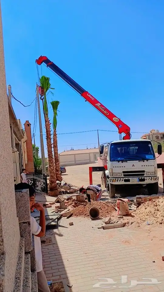 ابوعلي مختص في زراعت انخيل تبوك العلا 4