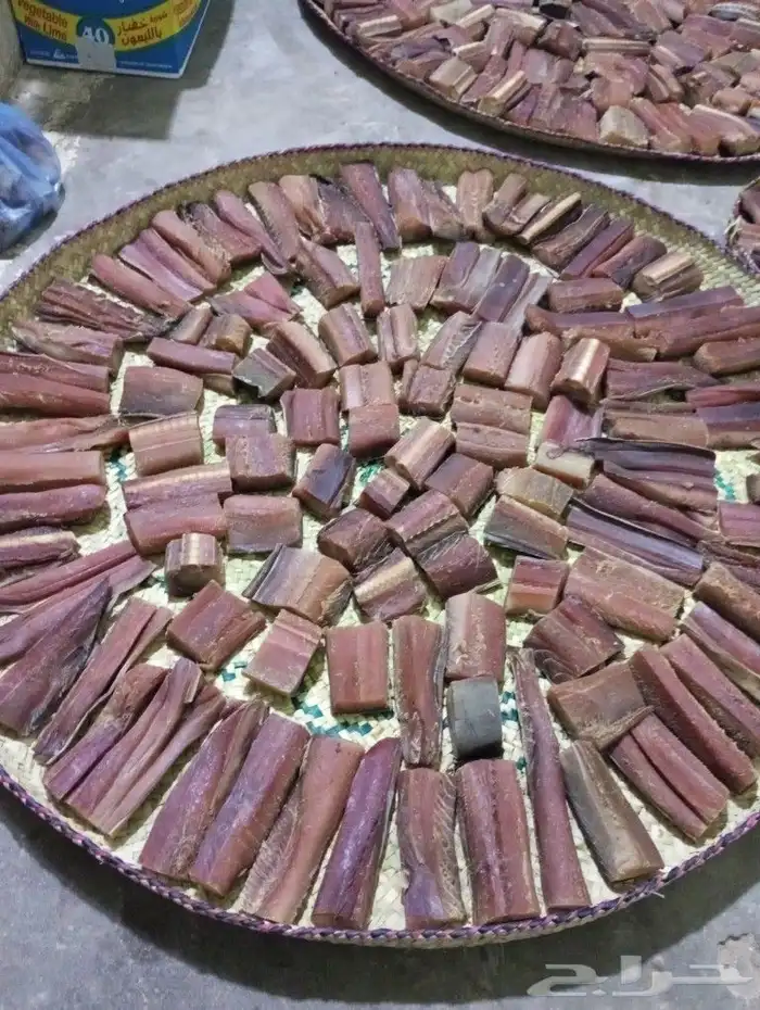 ودك تجرب اللخم القريني الحضرمي تفضل 14