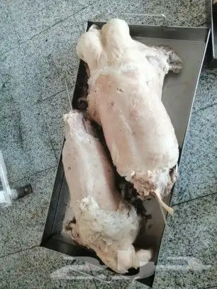 طباخ متنقل معاء جميع العده والاغراض 5