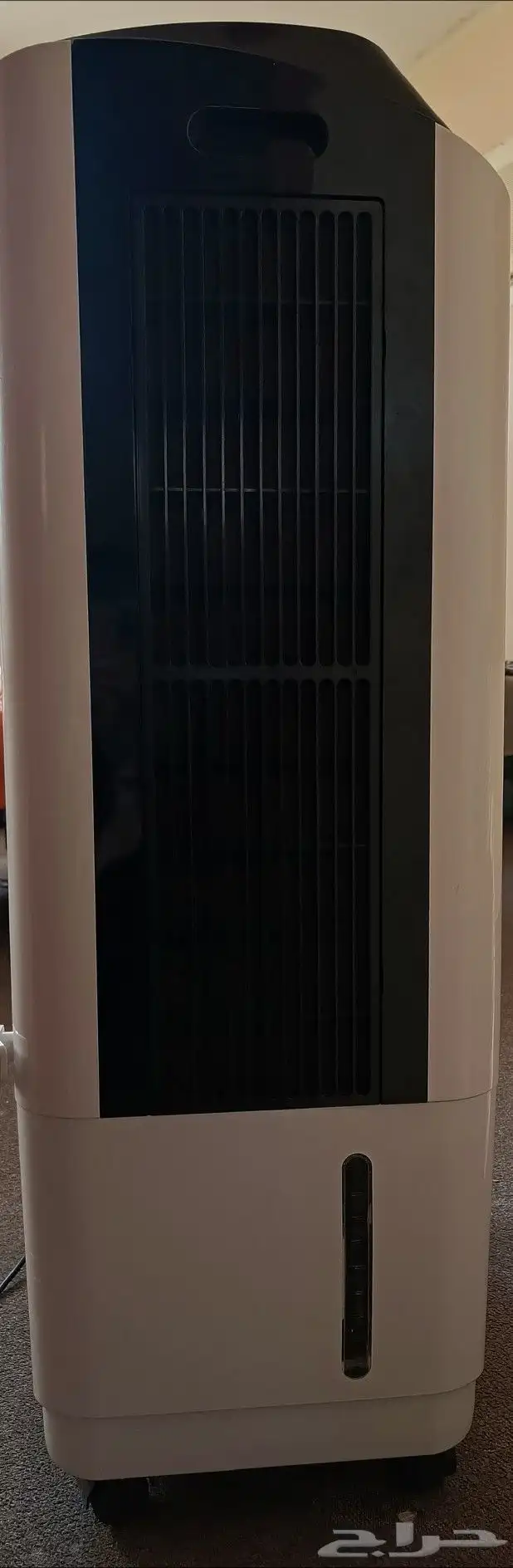 ميكف صحراوي 10