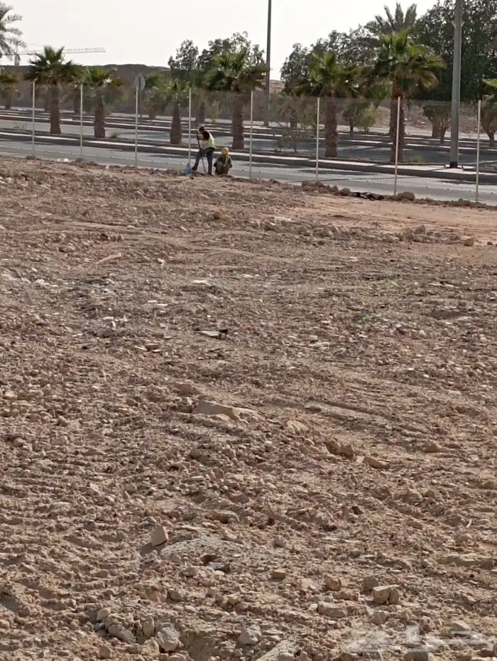 مقاول شبوك 5