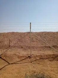 شبوك مزارع الرياض الجله تبراك القرنه شقراء السليل الوادي 2