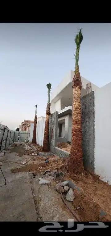 جميع انواع انخيل عربي واشنطني 1