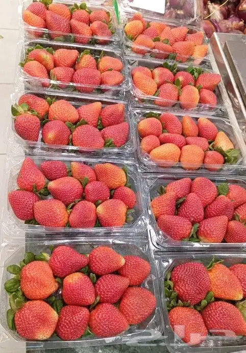 مورد فواكه بسعر الجملة للشركات والمؤسسات 8