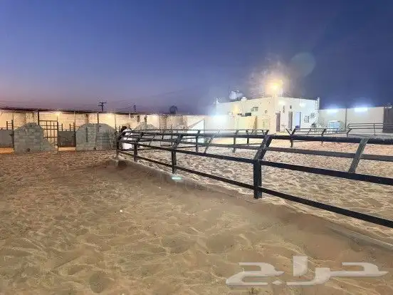 مربط خيل إيواء 4