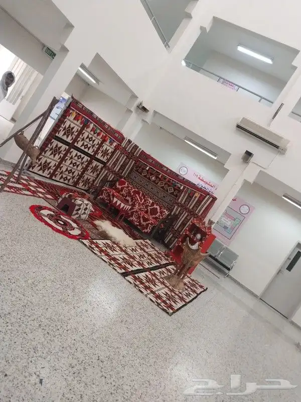 تاجيل حفلات كراسي طاولات جنس عربيه 4