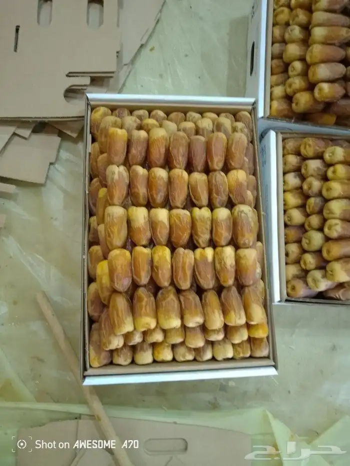 نخل وجثايث القصيم اسعار معقوله رقم الجوال 0