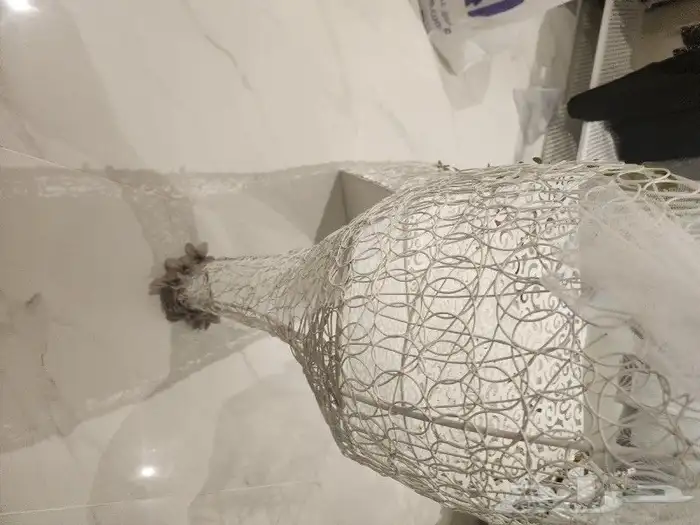 جزامه على شكل شوز بسعر 250 1