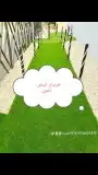 خرسان ابيض منظر حظاري 4