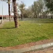 تنسيق حدائق وفرش عشب طبيعي 0