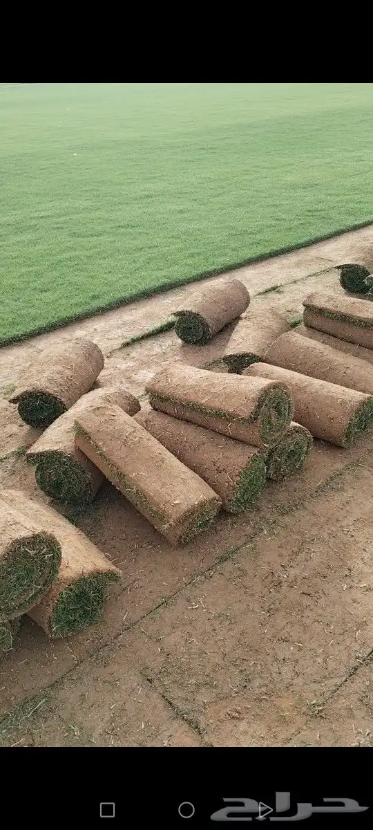 ثيل مزارع الخرج CL2000 صافي مضمون مشروط كثيف لفه توريد وتركي 8