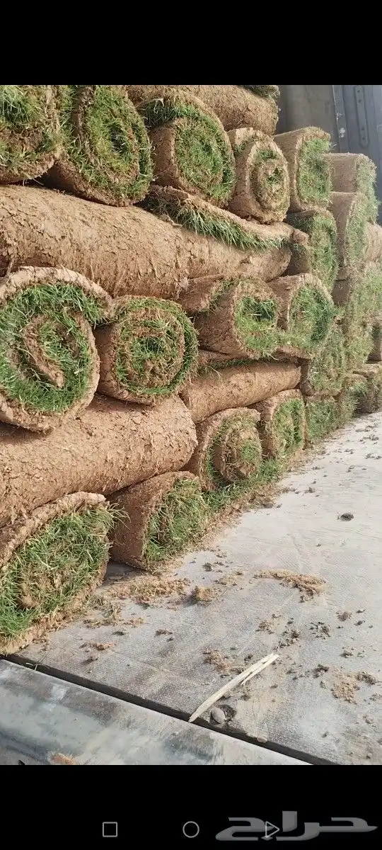 ثيل مزارع الخرج CL2000 صافي مضمون مشروط كثيف لفه توريد وتركي 9