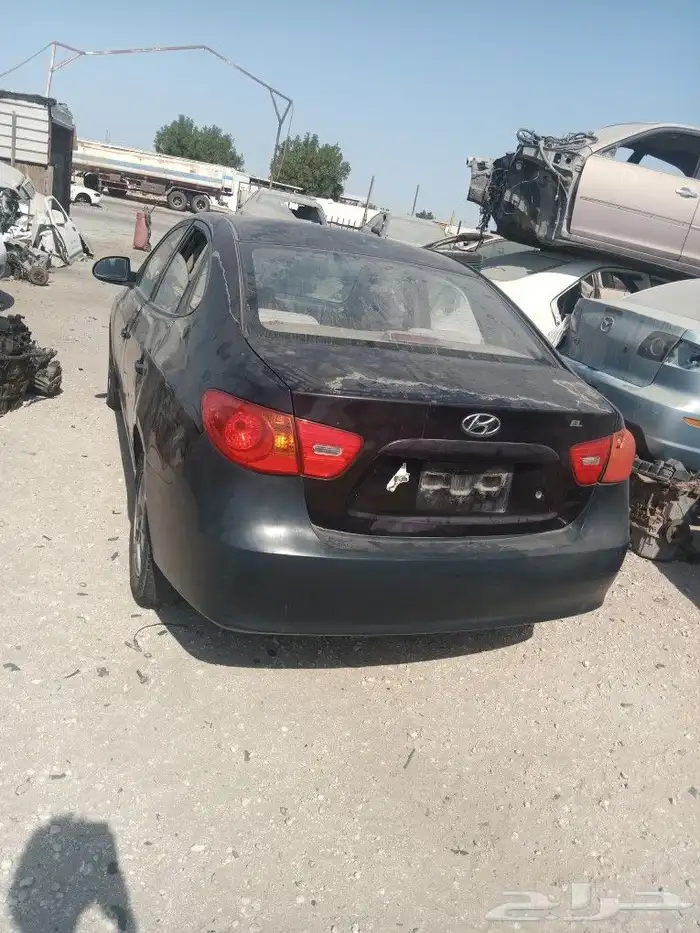 النتراء 2010 1