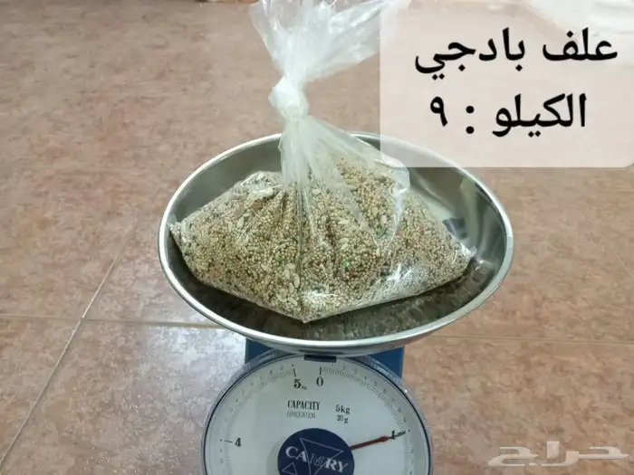 سريلاك فيرسلاقا A 21 وعلف روز وبادجي بالكيس   وبالكيلو 4