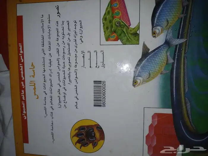 كتب مفيدة للأطفال والكبار   . كتاب احصاء   مجلة نادرة العربي 1