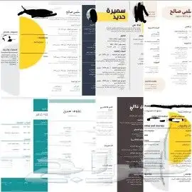 تصميم سيرة ذاتية احترافية ب 15 ريال فقط 0