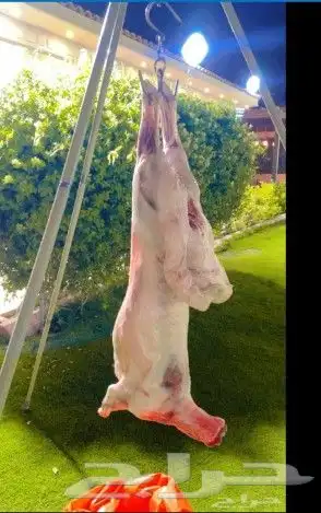 معلم مشاوي خارجيه متنقل نأتيكم اينما كنتم اتصل نصل 3