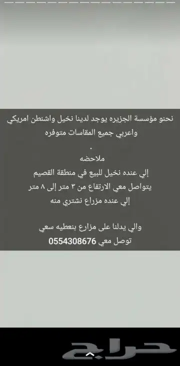 نخل عربي وشنطني زينه امريكي الرقم 0