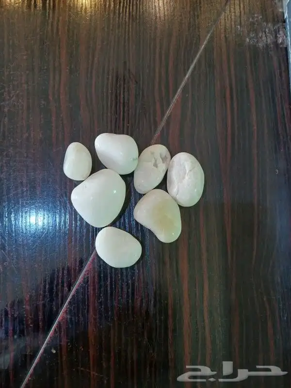بحص بكل الاحجام والألوان 0
