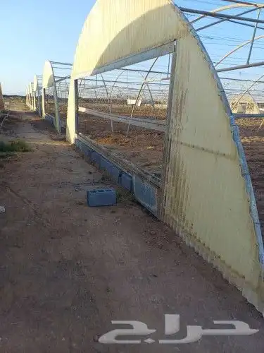 فك وتركيب البيوت المحميه 1