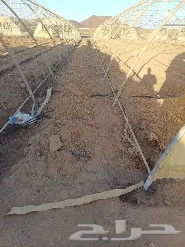 فك وتركيب البيوت المحميه 3