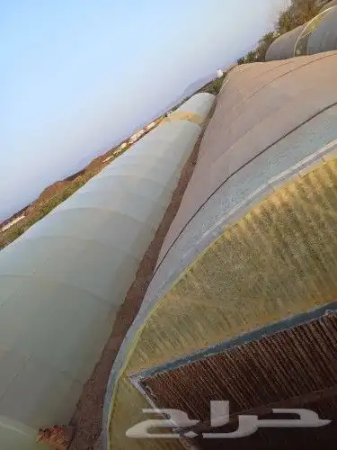 فك وتركيب البيوت المحميه 4