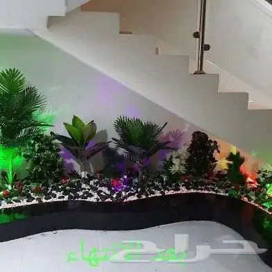 زراعة وتنسيق حدائق 4