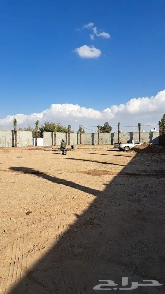 يوجدلديناجميع النواع النخيل المثمرة بجميع انواعها 0