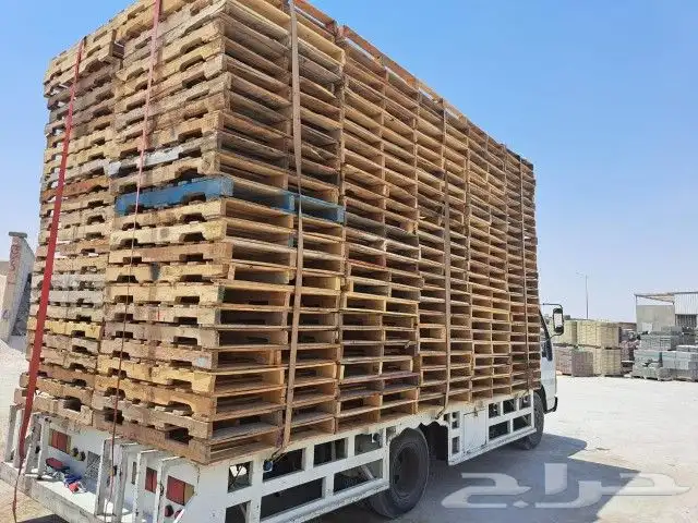 طبالي 6
