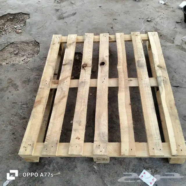 طبالي 1