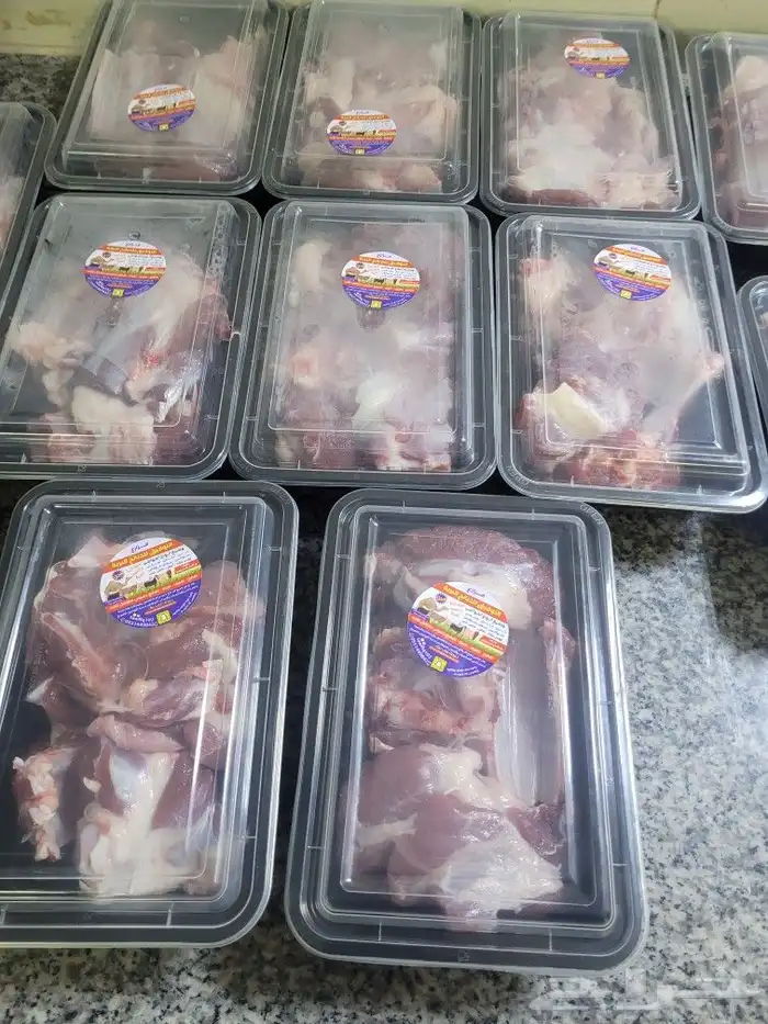 حريات فاخره لباب بيتك خرفان سواكني مربى 5