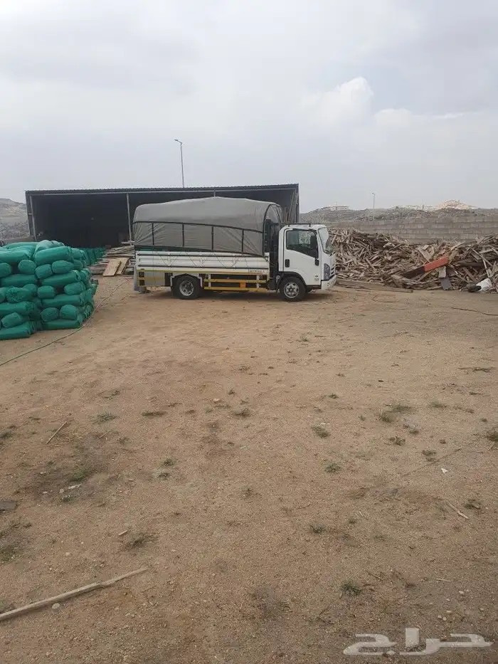 نشارة دواجن وجميع الحيوانات 0