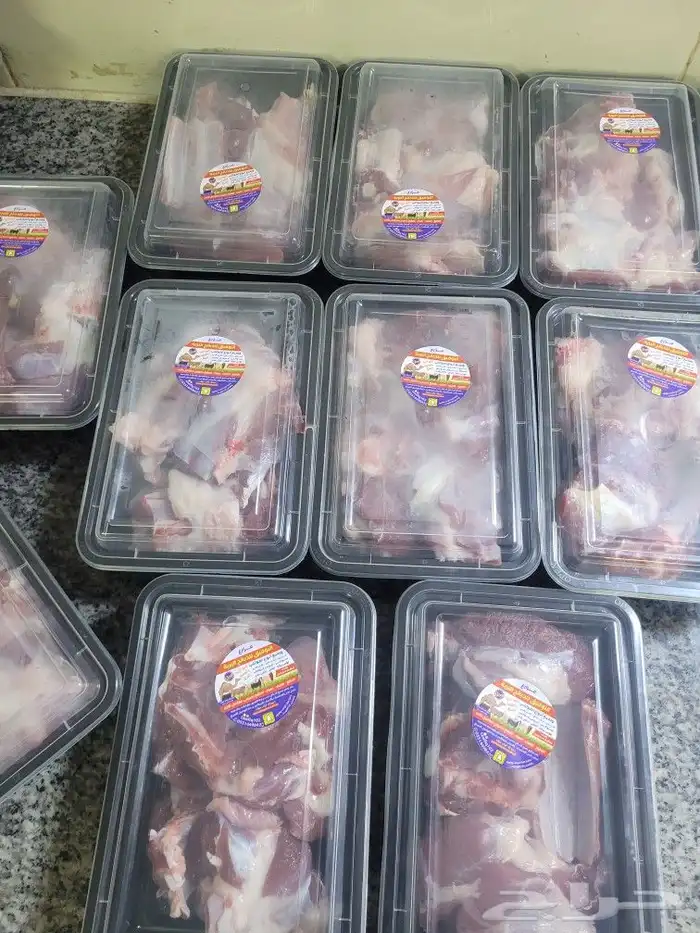 حريات فاخره لباب بيتك خرفان سواكني مربى 6