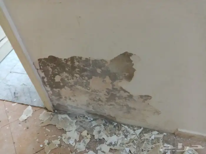 جرافيت كسر رخام تلييس وتشطيبات ومعالجت الرطوبه للتواصل 12