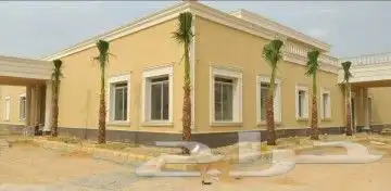 نخل واشنطونياء زينة زينة للبيع 7