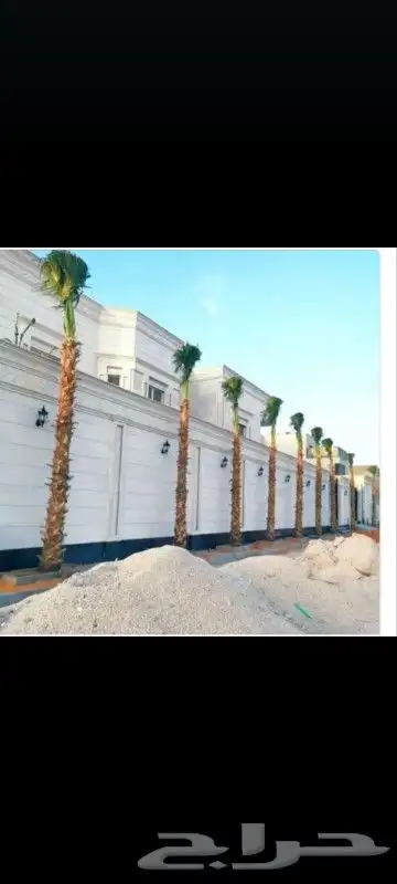 لتنفيذ أعمال التراث وتوريد النخيل 1