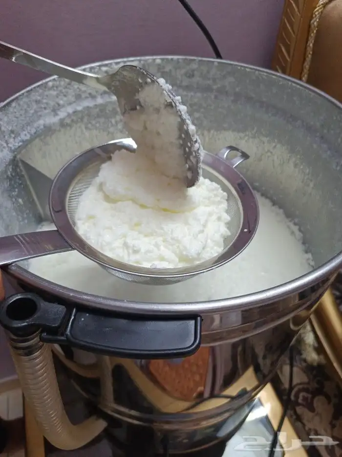 لبن ماعز وحليب ماعز 3