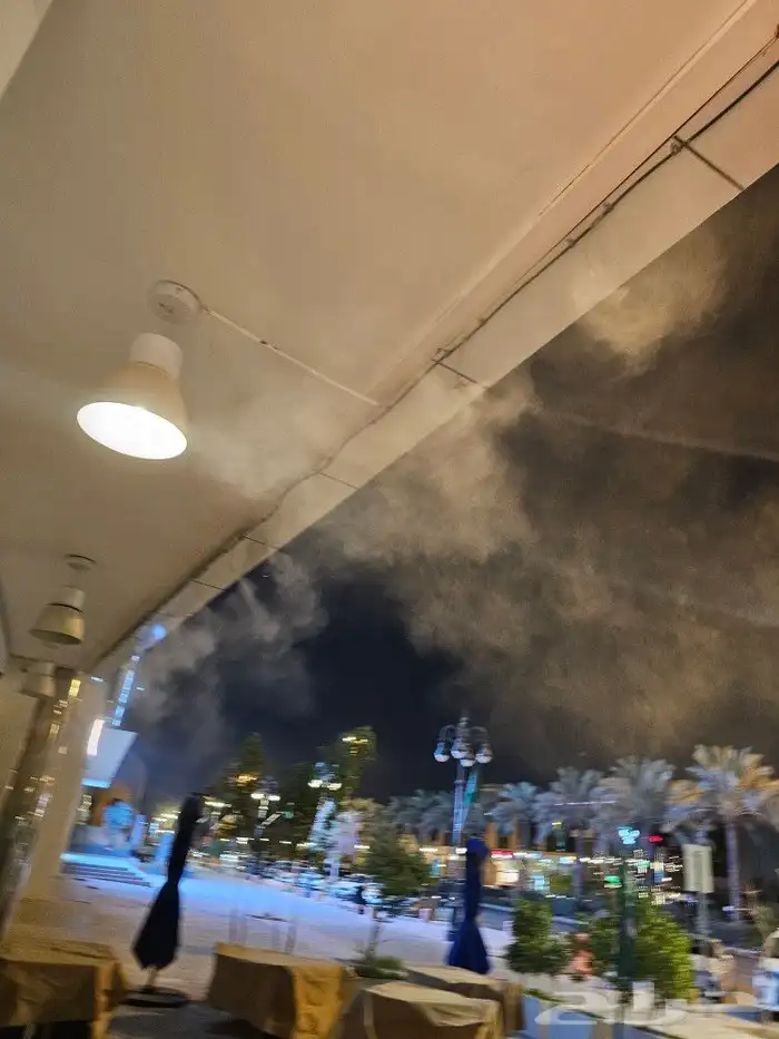 ضباب المحور الصافي 1