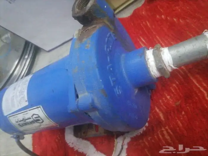 دينمو سمنان حصان ونص 4