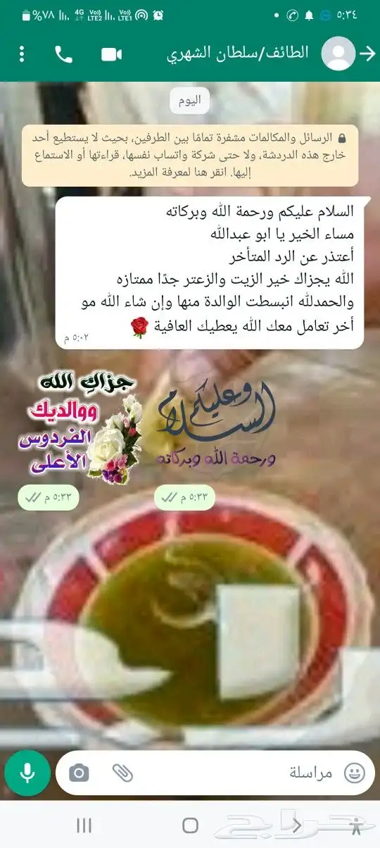 زيت زيتون فلسطبني بكر بعل عالي الجودة لكل المناطق 14