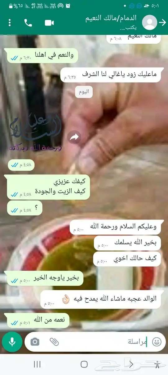 زيت زيتون فلسطبني بكر بعل عالي الجودة لكل المناطق 12