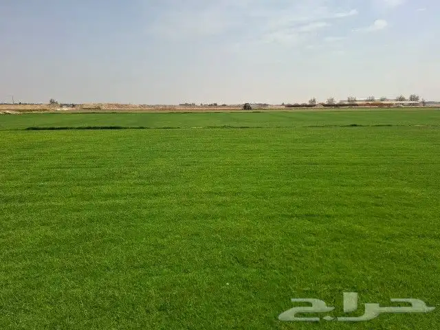 نقدم لكم تيل 2000C صافي وطبيعي درجه اولى ممتاز موجود تركيب 0