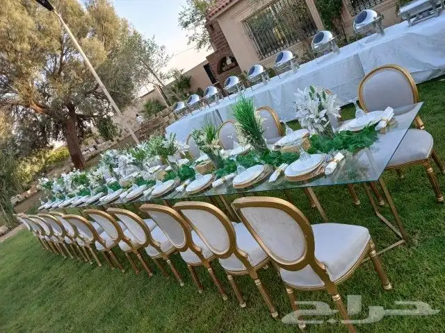 حفلات مناسبات 2