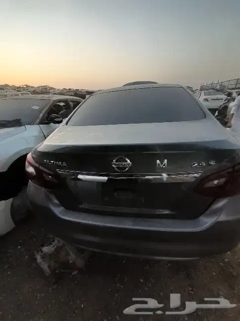 نسيان مكسيما نيسان التيما 2000 الي 2022 8
