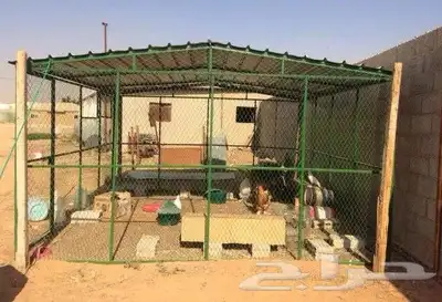 شبك مصيده قطط محاكر قفص عشه غرفه طيور حمام 3