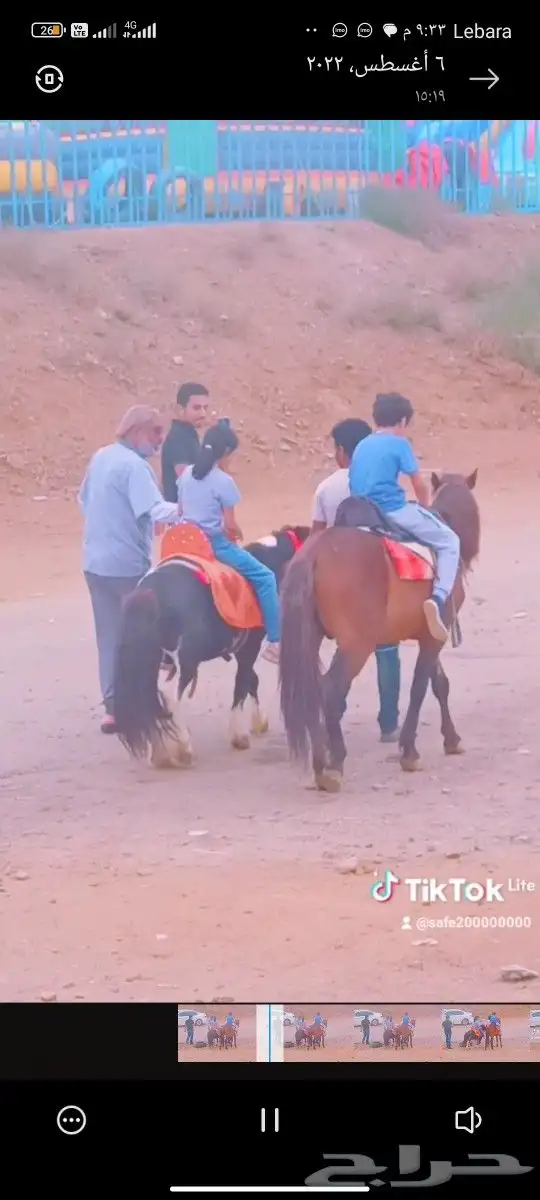 السلام عليكم ورحمه الله وبركاته يوجد لدينا خيول عربيه وجمال 1
